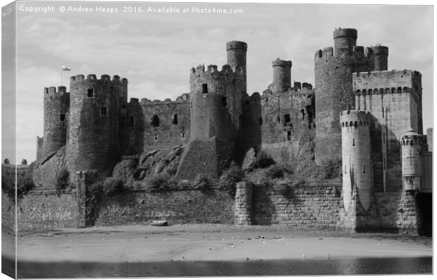 Conwy Castle Canvas Print by Andrew Heaps