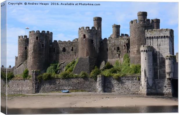 Majestic Conwy Castle Canvas Print by Andrew Heaps