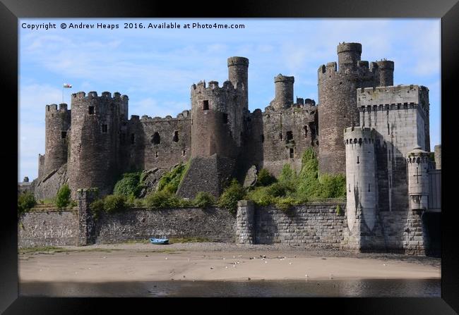 Majestic Conwy Castle Framed Print by Andrew Heaps