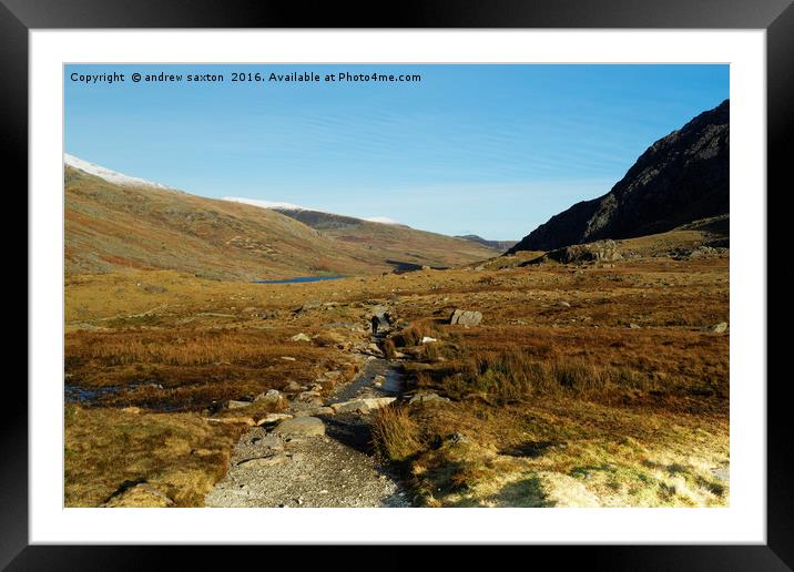 ROCKY PATH DOWN Framed Mounted Print by andrew saxton