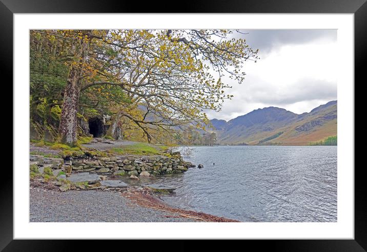        BUTTERMERE WALK                         Framed Mounted Print by Anthony Kellaway