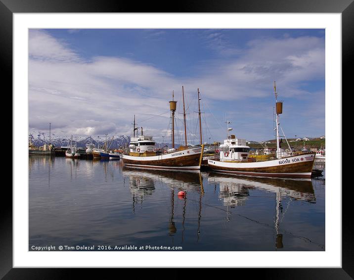 Icelandic fishing boats Framed Mounted Print by Tom Dolezal