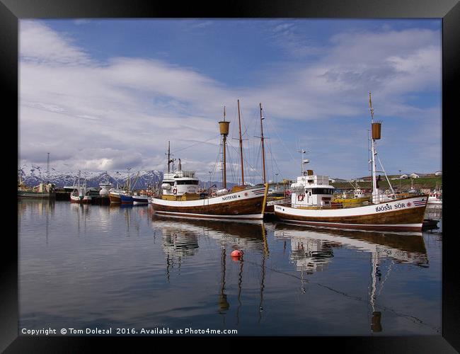 Icelandic fishing boats Framed Print by Tom Dolezal