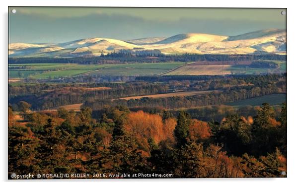 "EVENING LIGHT ON THE SNOW TOPPED CHEVIOTS" Acrylic by ROS RIDLEY