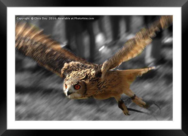Eagle Owl Framed Mounted Print by Chris Day
