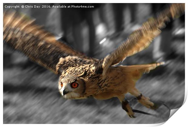 Eagle Owl Print by Chris Day