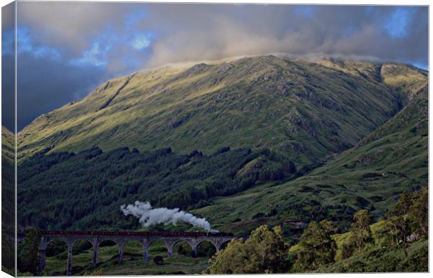 Harry Potter Train Glenfinnan Viaduct Canvas Print by Andy Smith
