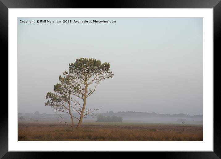 Misty Moor Framed Mounted Print by Phil Wareham