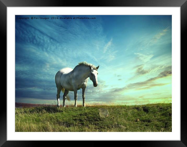 White horse on the hill Framed Mounted Print by Derrick Fox Lomax