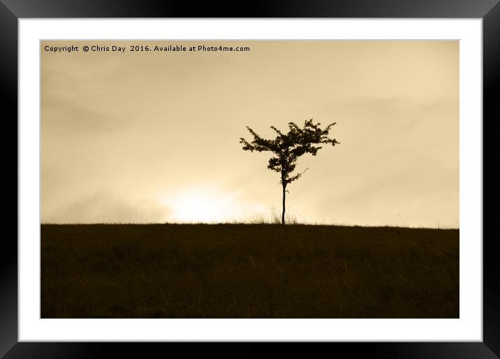 Lone Tree Framed Mounted Print by Chris Day