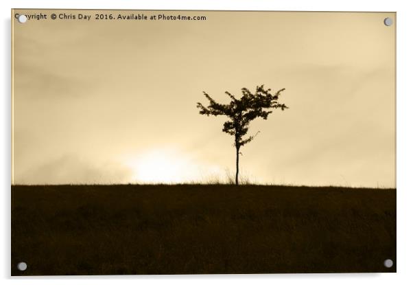 Lone Tree Acrylic by Chris Day