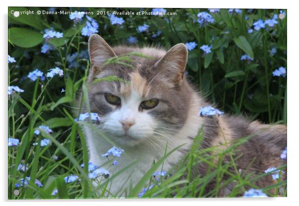 Pretty Kitty in the Flowers Acrylic by Donna-Marie Parsons