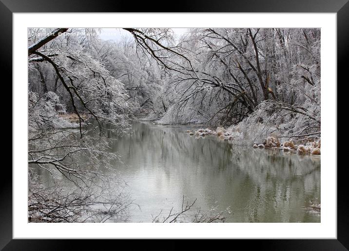 Winter scene Framed Mounted Print by Donna-Marie Parsons
