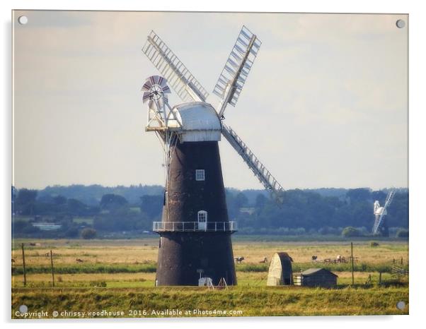 Berney Arms windmill Acrylic by chrissy woodhouse