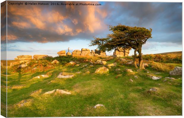 Evening Light at Combestone Tor Canvas Print by Helen Hotson