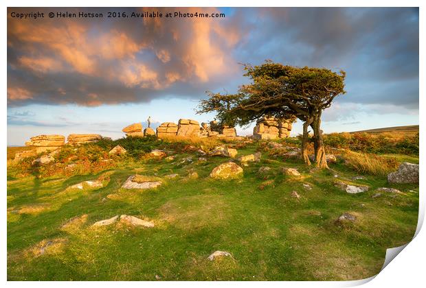 Evening Light at Combestone Tor Print by Helen Hotson