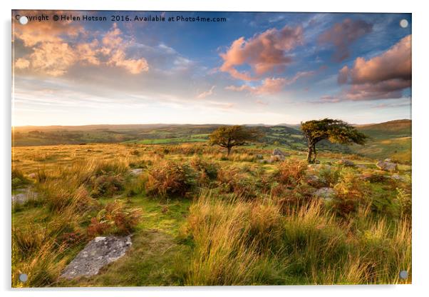 Dartmoor National Park Acrylic by Helen Hotson