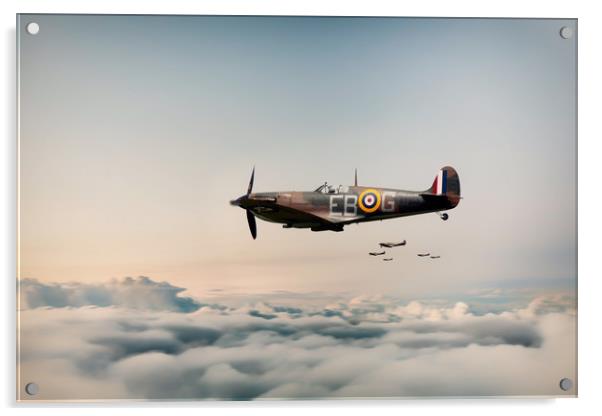 41 Squadron Acrylic by J Biggadike
