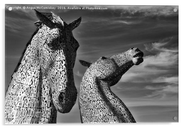The Kelpies Falkirk black and white Acrylic by Angus McComiskey