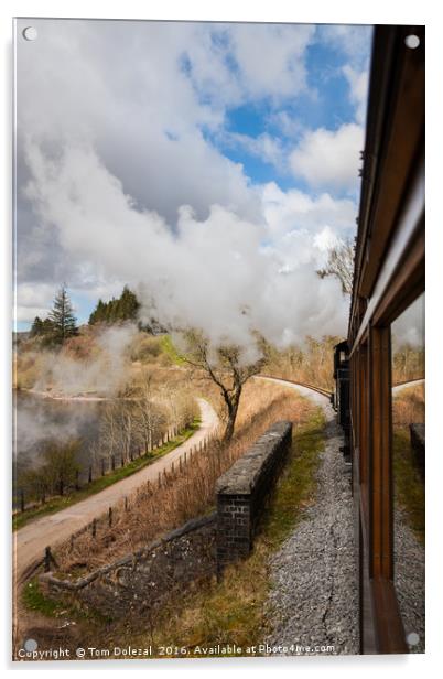 Steam train journey Acrylic by Tom Dolezal