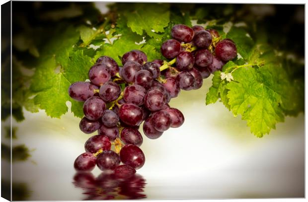 Krissy Gold Grapes Canvas Print by David French