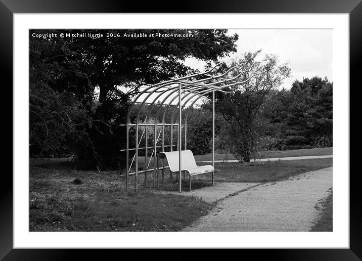 Park bench Framed Mounted Print by Mitchell Nortje