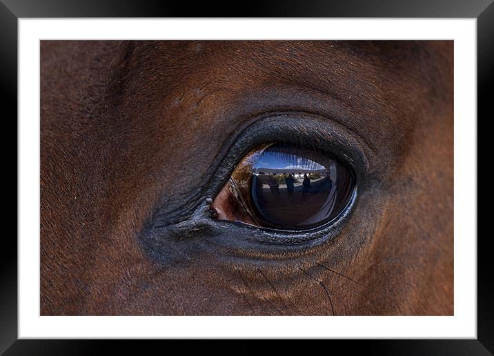 Horse, reflection, macro Framed Mounted Print by Raymond Gilbert