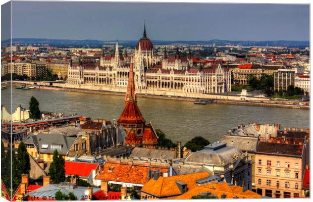 Hungarian Parliament Canvas Print by Tom Gomez