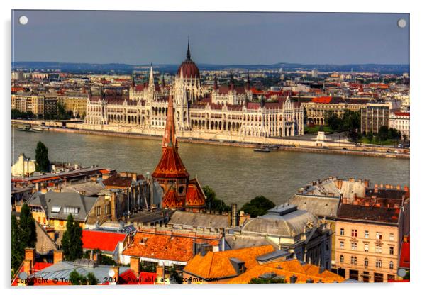 Hungarian Parliament Acrylic by Tom Gomez