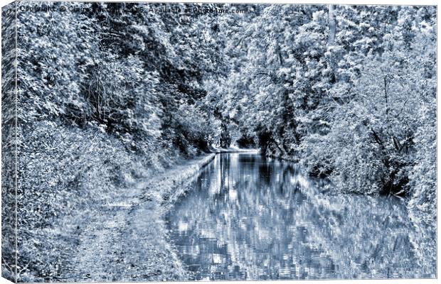 Stratford upon Avon Canal Canvas Print by Claire Castelli