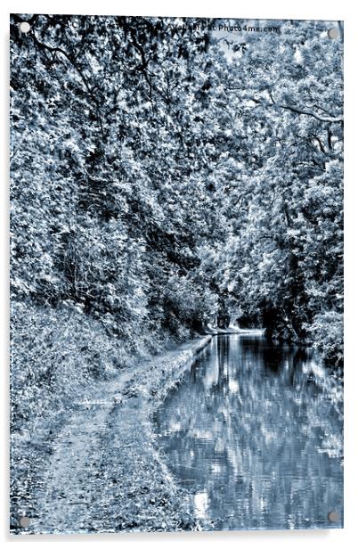 Stratford upon Avon Canal Acrylic by Claire Castelli