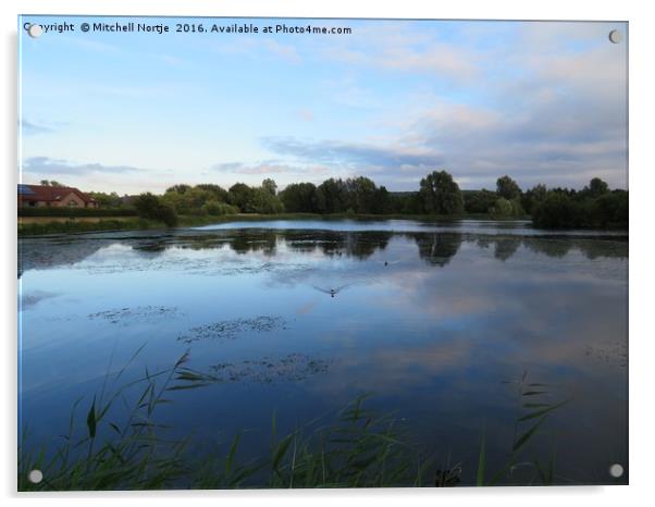 Caldecott Lake, Milton Keynes Acrylic by Mitchell Nortje