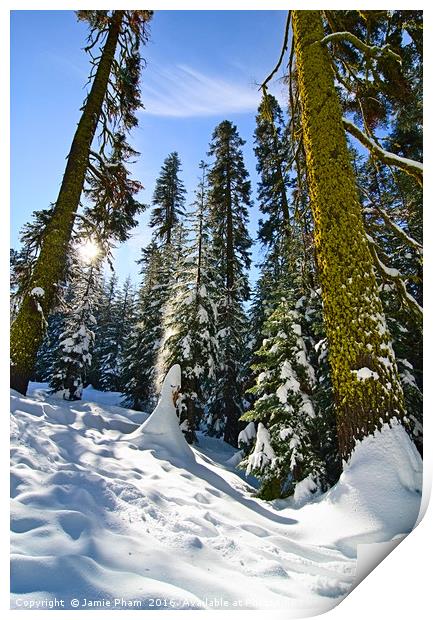 Winter Wonderland of Badger Pass in Yosemite Natio Print by Jamie Pham