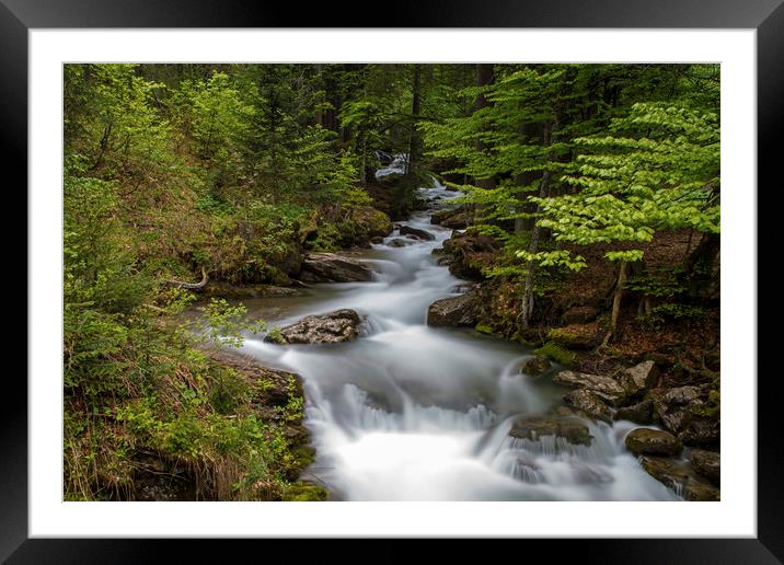 Ardent Falls in the French Alps Lac Montriond Framed Mounted Print by Nick Jenkins