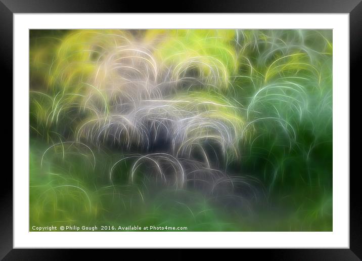 Fireworks Meadow Framed Mounted Print by Philip Gough