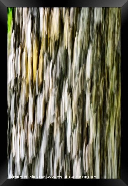 Bark Blemish Framed Print by Philip Gough