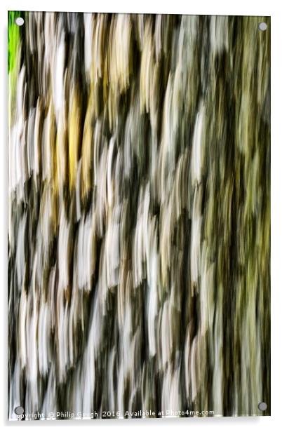 Bark Blemish Acrylic by Philip Gough