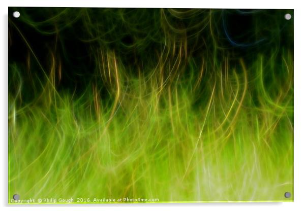 Night Grasses Acrylic by Philip Gough