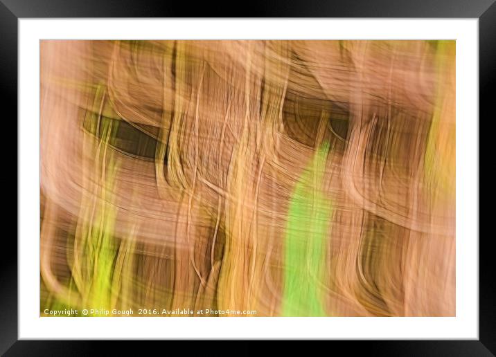 Natures Weave Framed Mounted Print by Philip Gough