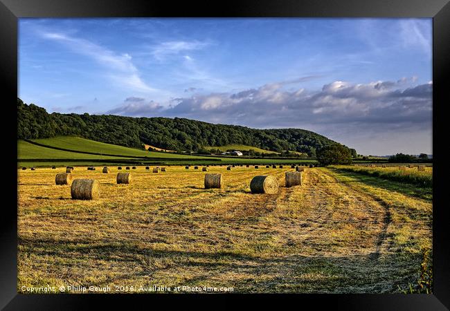 Summer on The Somerset Levels Framed Print by Philip Gough