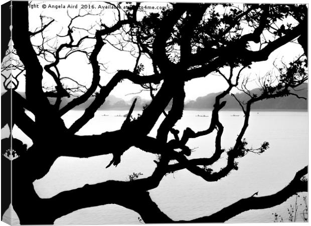 Tree Silhouette Canvas Print by Angela Aird