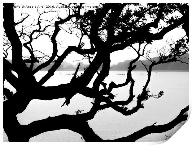 Tree Silhouette Print by Angela Aird