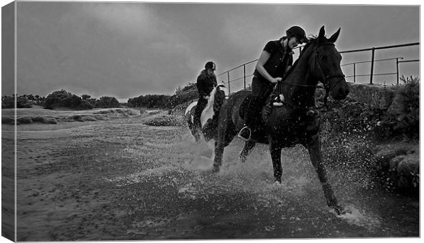 Water Horses Canvas Print by Rob Hawkins