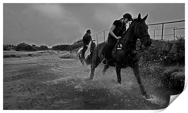 Water Horses Print by Rob Hawkins