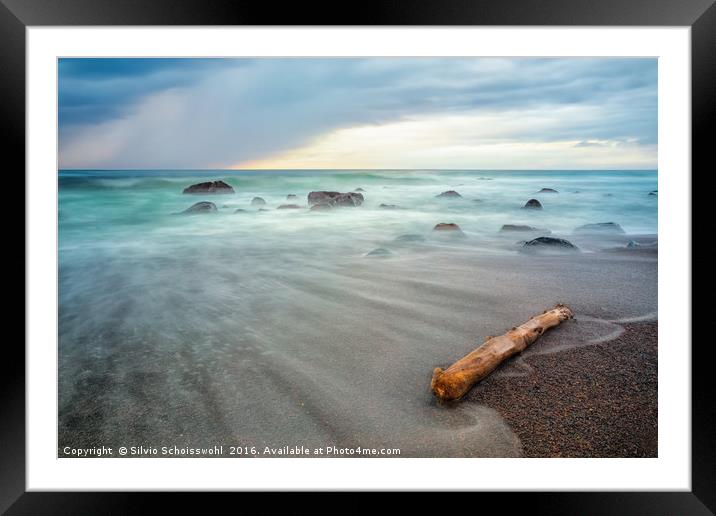 the drift wood Framed Mounted Print by Silvio Schoisswohl