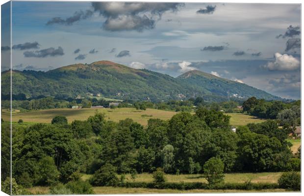 The Malvern Hills from Birtsmorton Common Canvas Print by Sue Dudley