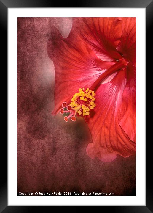 Dropping In Framed Mounted Print by Judy Hall-Folde