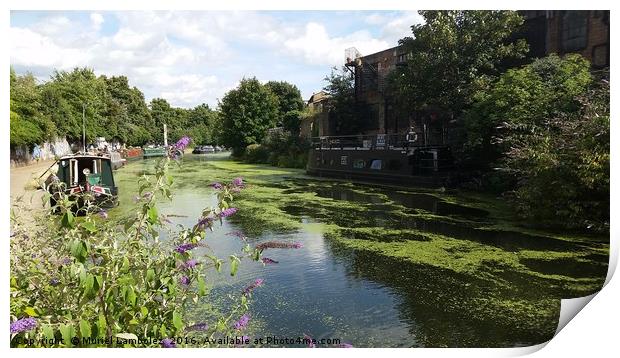 Canal Walk, London Print by Muriel Lambolez