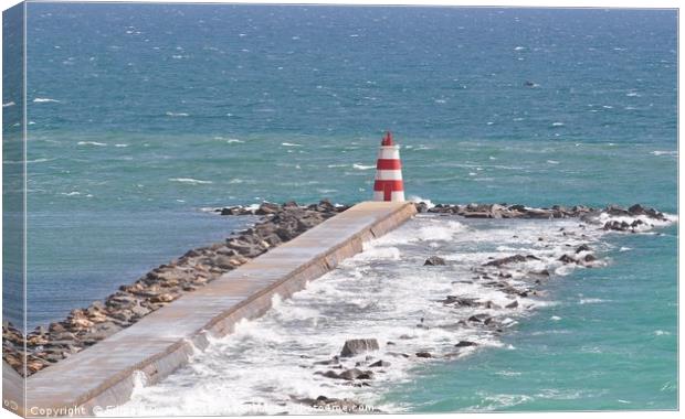 Lighthouse in Algarve Canvas Print by Filipa Borges