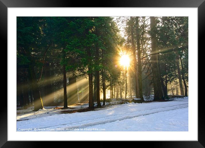 Let there be light. Sun beams pouring through a fo Framed Mounted Print by Jamie Pham